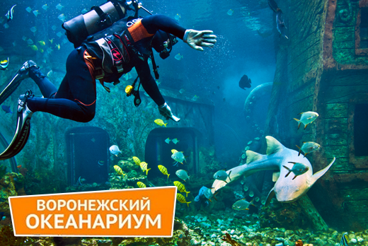 Посещение Воронежского океанариума в сити-парке «Град» всего за 390 рублей