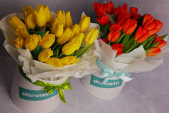 Цветочный магазин «Skoroletti»: 25 тюльпанов в коробочке всего за 1250 рублей!