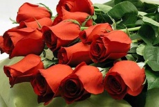 Утопая в розах! Скидка 50% на букеты из роз от цветочного бутика «Нарцисс»!