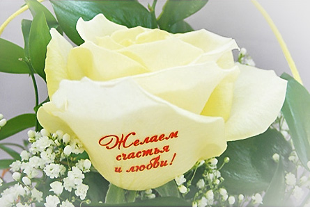 Дарите прекрасное настроение! Скидка 50% на комнатные цветы и букеты от цветочного бутика «Нарцисс».