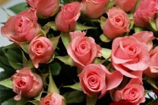 Утопая в розах! Скидка 50% на букеты из роз и комнатные цветы от цветочного бутика «Нарцисс»!