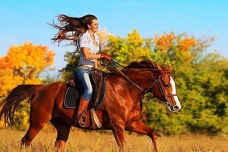 Прогулка на лошадях, свадебная фотосессия и обучение верховой езде со скидкой 50%