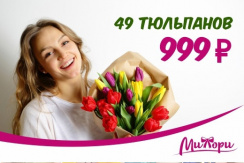49 тюльпанов всего за 999 рублей от компании «Милори»