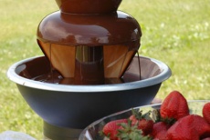 Заказ шоколадного фонтана для вашего торжества со скидкой 60% в эксклюзивном свадебном агентстве “Dolce ViTa»