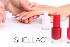 Shellac-покрытие CND ногтей на руках со скидкой 66% в SPA-салоне Гармония «Инь-Янь»!