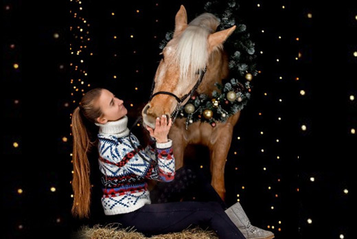 Новогодняя фотосессия с лошадью по специальной цене!