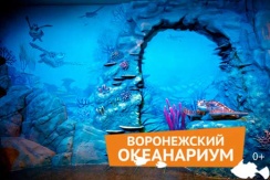 Посещение Воронежского океанариума в сити-парке «Град» всего за 390 руб.