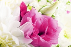Дарите прекрасное настроение! Скидка 50% на букеты от цветочного бутика «Нарцисс»!
