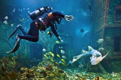Посещение Воронежского океанариума в сити-парке «Град» со скидкой 50%