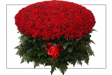 Подарочные сертификаты со скидкой до 75% на фотосессии с живыми цветами «101 роза и море цветов» для прекрасных дам!!!