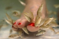 Рыбкотерапия для рук и ног со скидкой 75% в центре красоты и здоровья «Аэлита»!