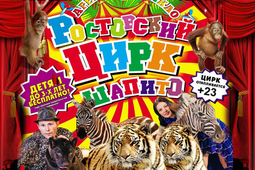 Цирк в липецке. Цирк липецк билеты. Цирк больших зверей братьев гертнер. Афиша цирка. Цирк балаково арена ягуар.