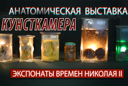 Анатомическая выставка «Кунсткамера» в ТРЦ «Малибу». Билеты от 75 рублей
