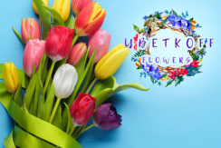 Тюльпаны от 45 рублей, а также скидка до 50% на цветы и весенние композиции в магазине Цветкоfflower