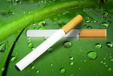 Электронная сигарета в портсигаре и одинарная электронная сигарета со скидкой 50%!