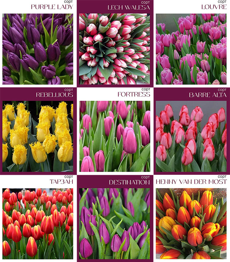 5865668565_01.jpg 5865668565_01.jpg