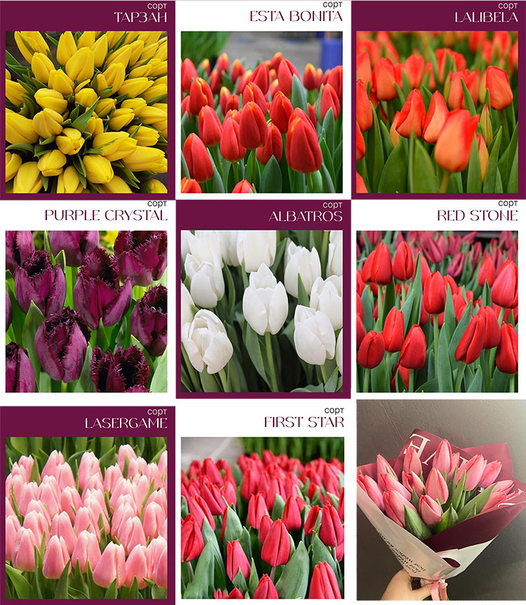 5865668565_02.jpg 5865668565_02.jpg